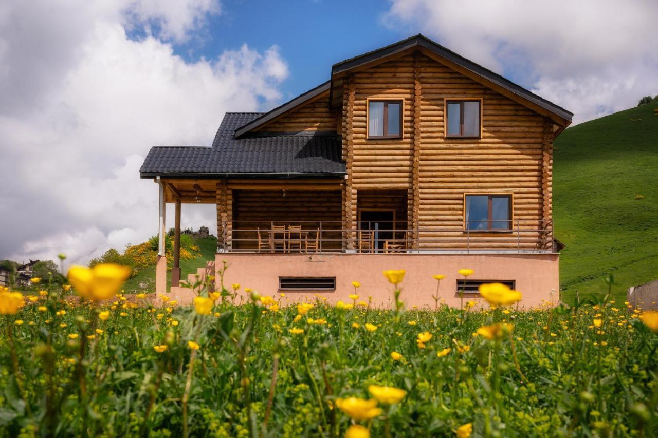 Snow Time Eco Chalet Gudauri Zewnętrze zdjęcie