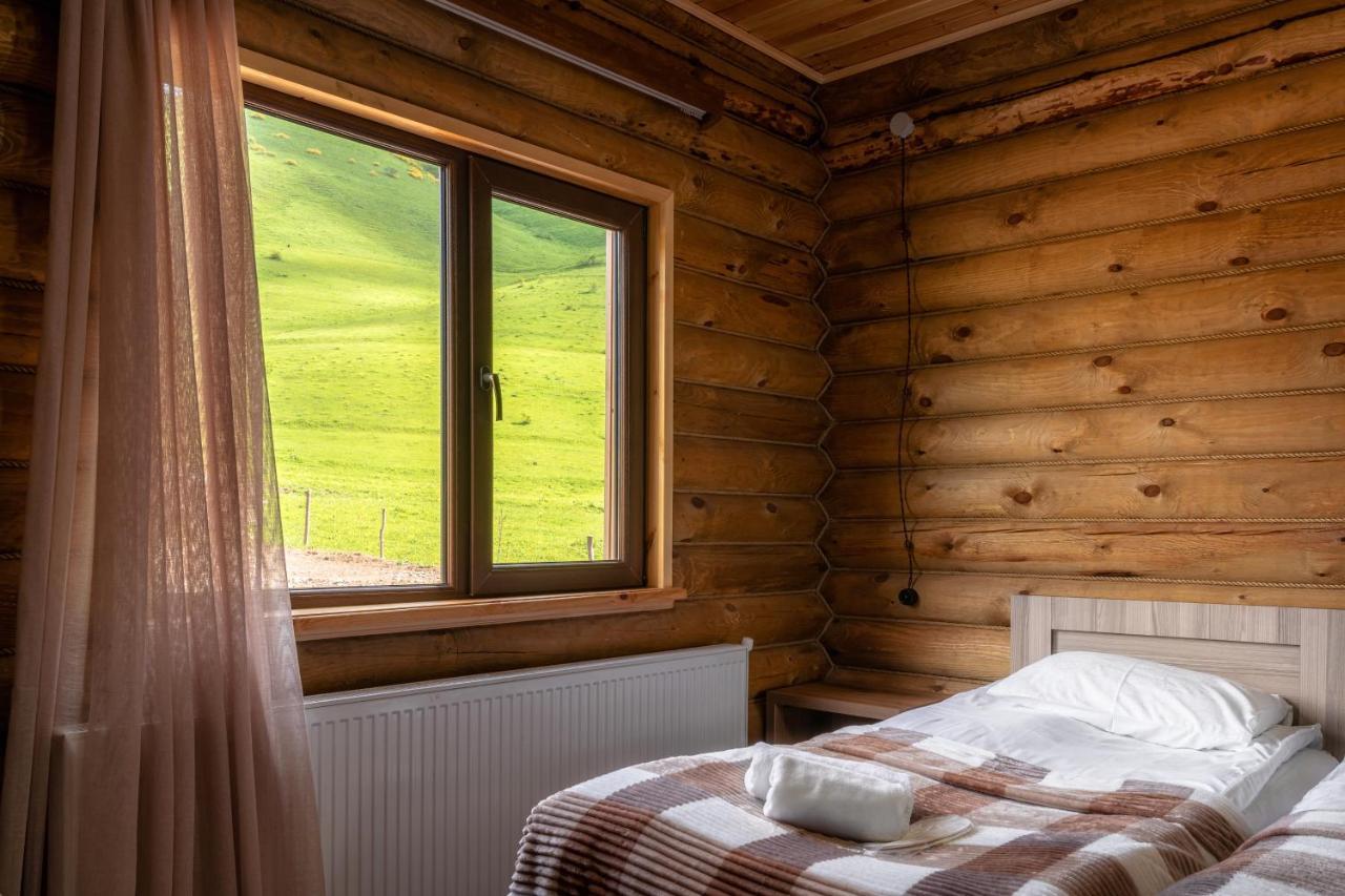 Snow Time Eco Chalet Gudauri Zewnętrze zdjęcie